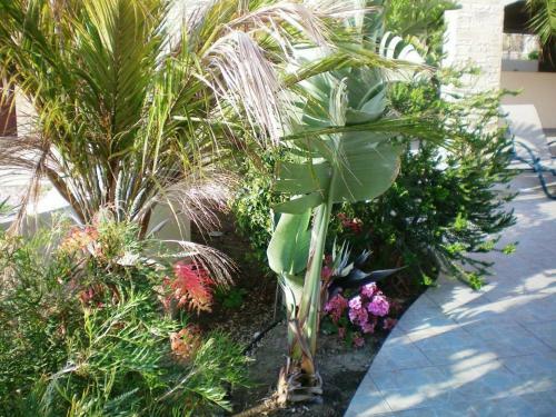 Excellent 2 Bed Apartment With Pool View, AC & Gym!