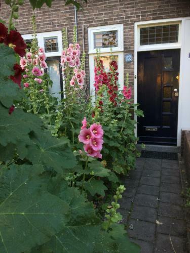 Apartamento B&B Le R�ve