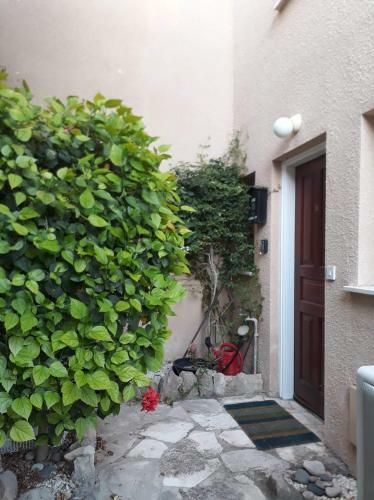 Villa Olive Tree
