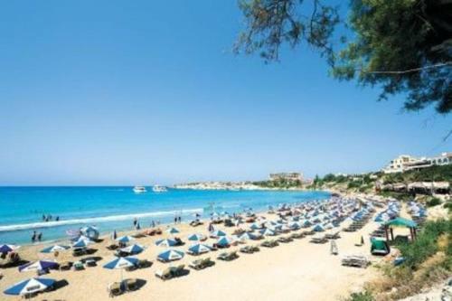 Peyia Resort Apartment