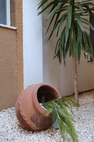 Lovely 1 Bedroom Apartment In Peyia Hills Complex