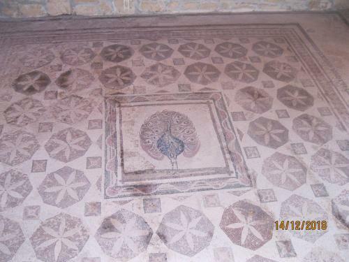 Apartamento 213 Pissouri Vines