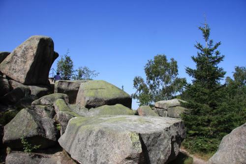 Apartamento Harz-sonne 2
