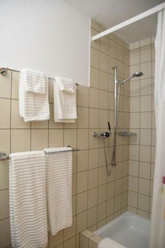 Apartment Ferienwohnung Schatz
