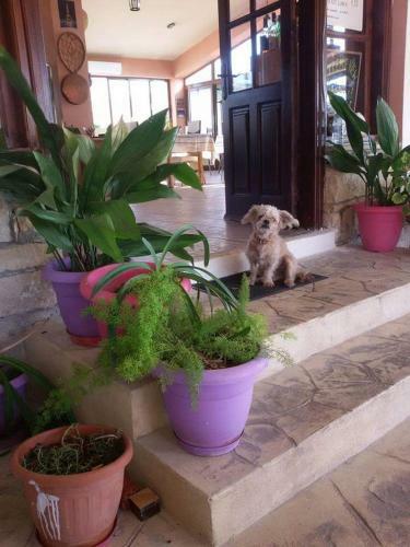 Posada Extreme View Cafe And Rooms To Let