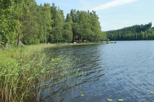 ??????? ? ?????????, Enonkoski (??????)