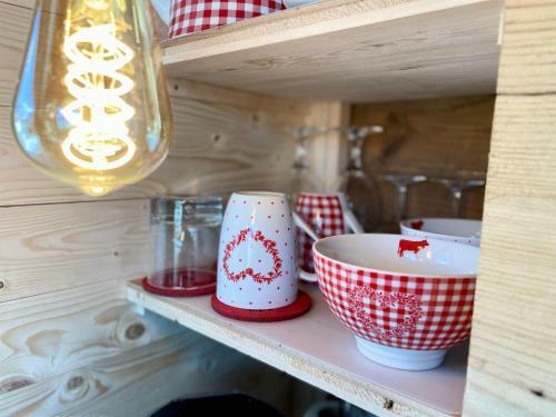 Tiny House Singer - Contactless Check-in