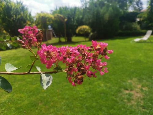 Villa Guest House Baltadzhievi