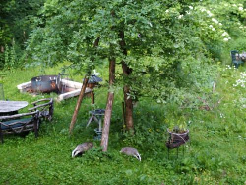 Schwedenhaus Am Eichenberg