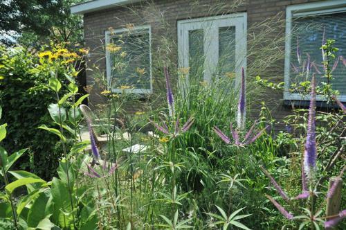 B&B De Oelesprong Westernieland