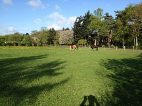 De Heidehoeve