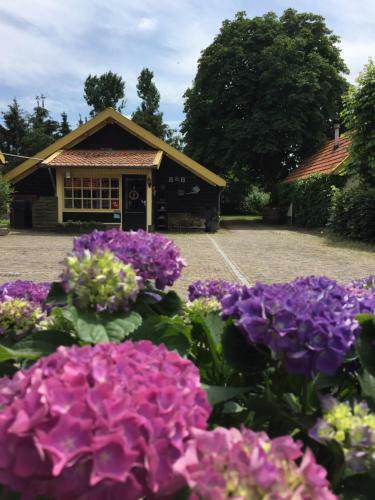 De Heidehoeve
