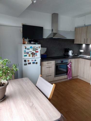 Apartamento Vosseslag Beach - de Haan