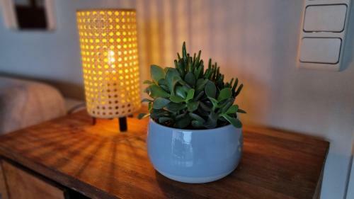 Apartamento Studio De Haan