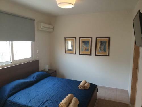 Horizon Luxury Apartment 3