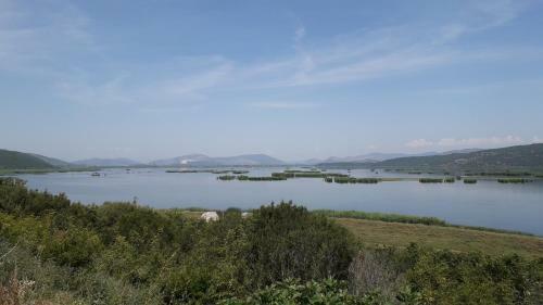 Apartman Rodin