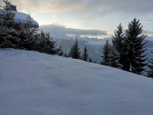 Apartment 42 Crans