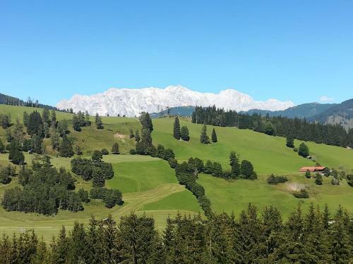 Apartment Hochk�nigblick Pilzegg