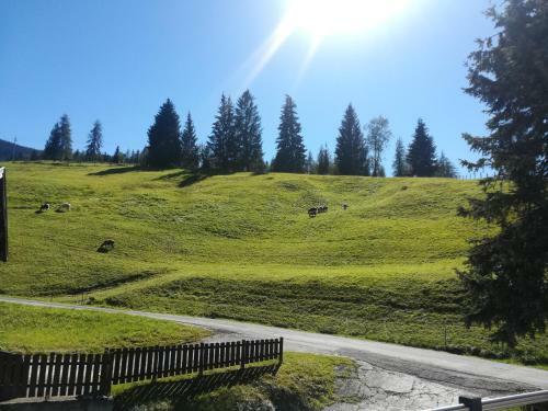 Apartment Hochk�nigblick Pilzegg