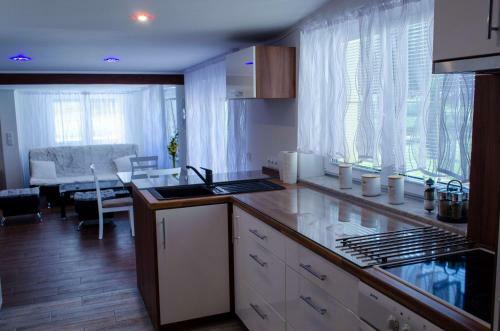 Apartm�ny Lizard