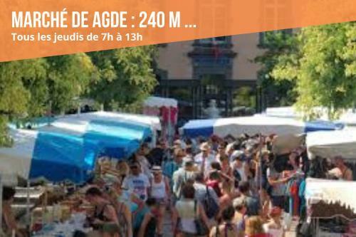Apartamento ~? T2 Les Pins Du Midi - Agdebnb ?~