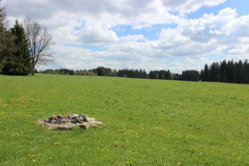 Chata Pl�ni?ka 515 - Lipno Home