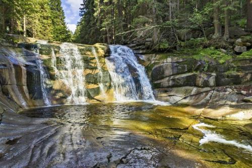 Vakantiehuis Cerny Dul 259