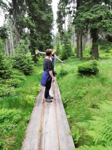 Vakantiehuis Cerny Dul 259