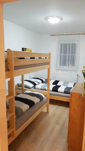 Apartm�n Alfa 11
