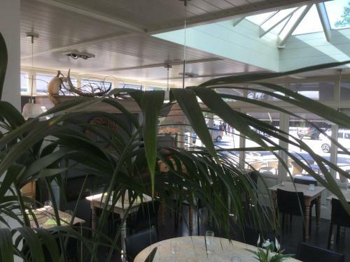 Hotel C�t� Cour