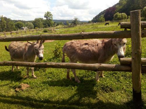 Bed & Breakfast Couettes Et Picotin