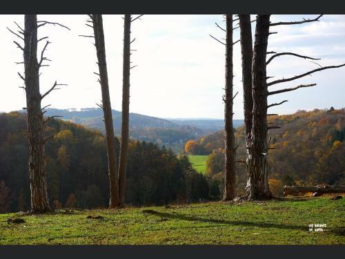 Apartamento Enjoy Durbuy 3