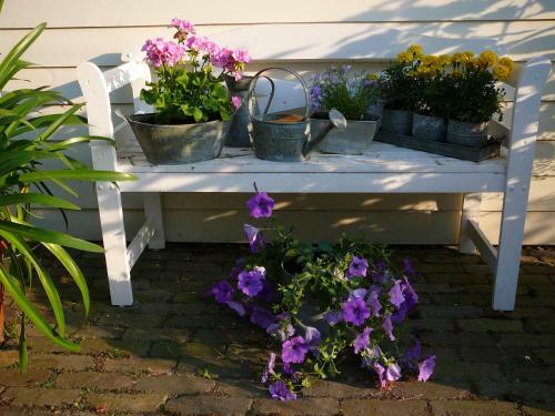 Bed & Breakfast Locanda Al Drago