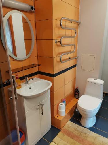Sunny Apartment K?dainiai
