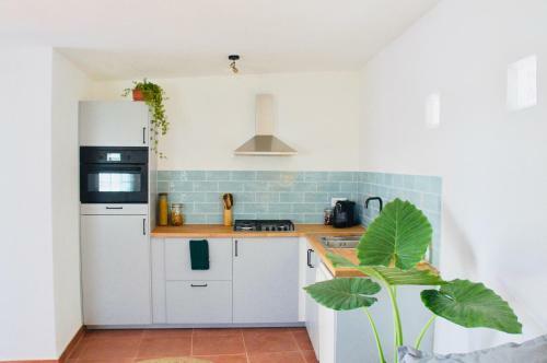 Apartamento Jo�o Jungle