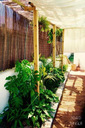 Apartamento Jo�o Jungle