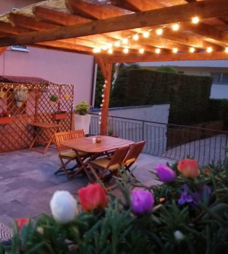 Il Gatto Stanco B&B