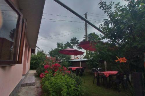 Bed & Breakfast Casa La Agapia