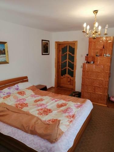 Casa Ilea-agapia"