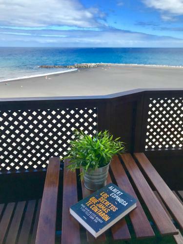Apartamento Playa Ciudad