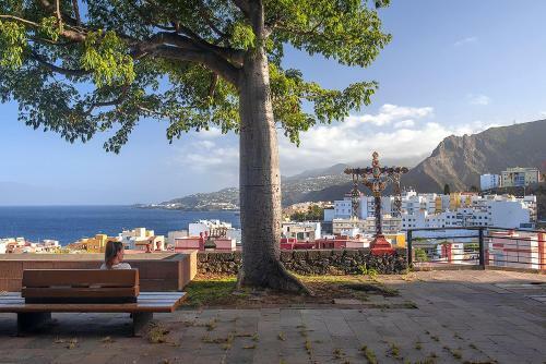 Apartamento Viviendas Vacacionales El Mango