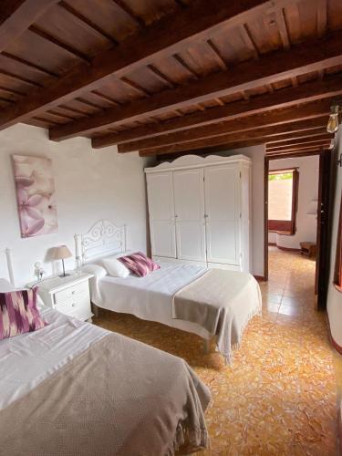 Casa Ayane