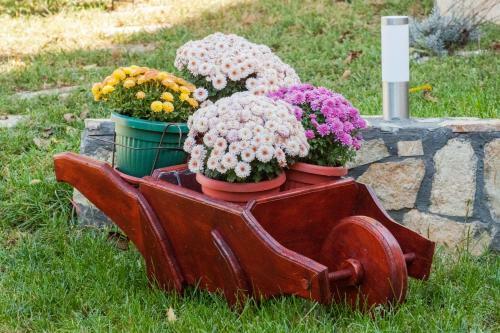 Apartmani Bojana