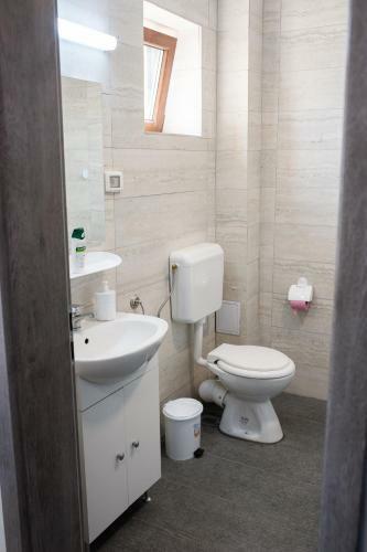 Hostal Pensiunea Vlad