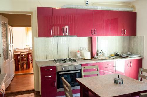 Hostal Pensiunea Vlad