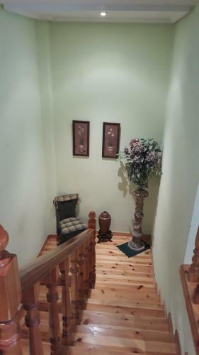 Casa Nano