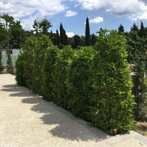 Agroturismo Mas Segart