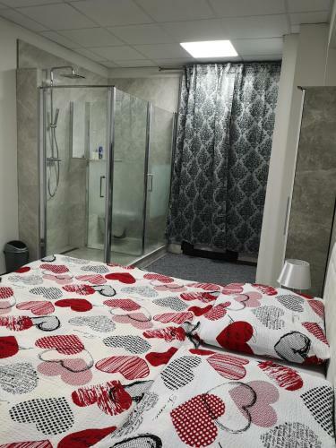Apartamento Centrum Dbl-room Dominika