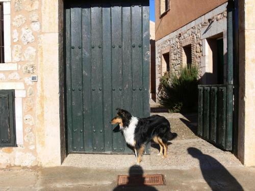 Las Casas de Yag�e, Ayll�n