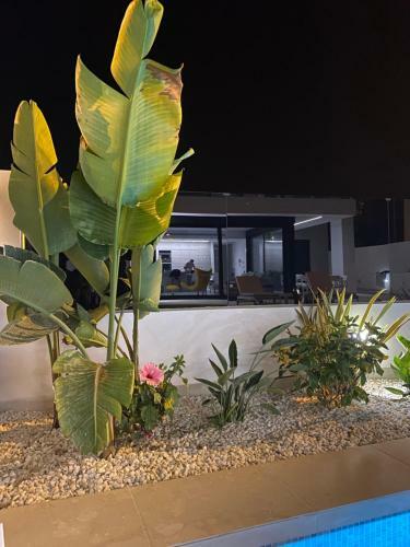 Villa Floralize